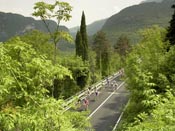 In Trentino
